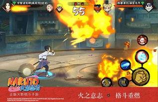 各个忍者爆料视频合集,揭秘爆料视频中的忍界风云  第3张